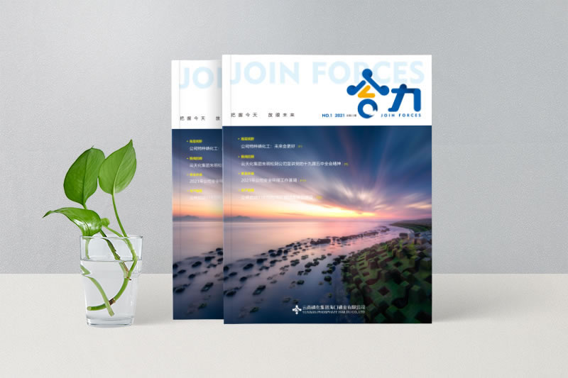 云南磷化集團?？诹讟I(yè)有限公司-期刊設(shè)計制
