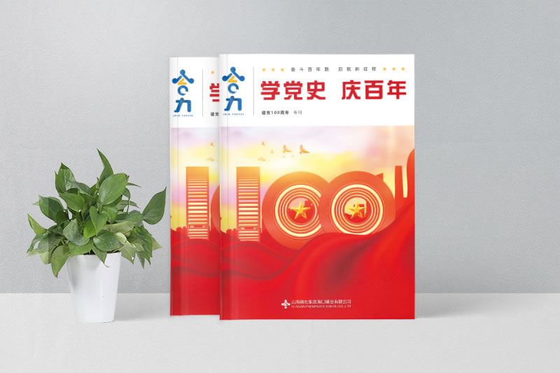 ?？诹谆瘧c黨100周年企業(yè)期刊畫冊