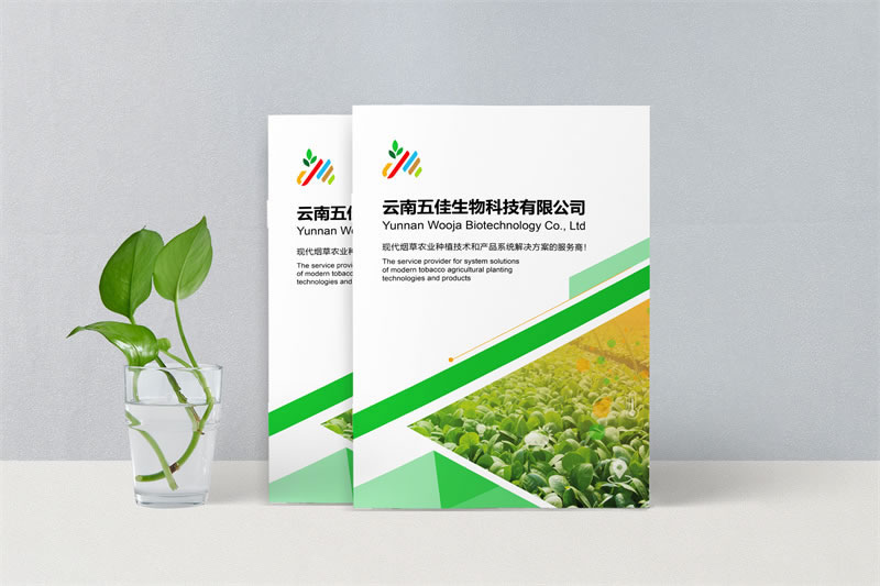 企業(yè)品牌宣傳畫冊定制設(shè)計-打造企業(yè)獨特的視覺形象