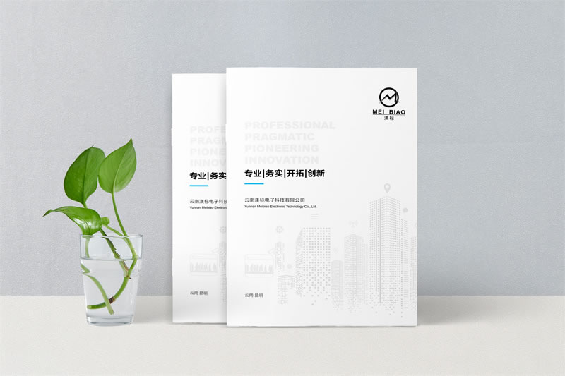 企業(yè)宣傳畫冊(cè)設(shè)計(jì)制作-突顯品牌價(jià)值