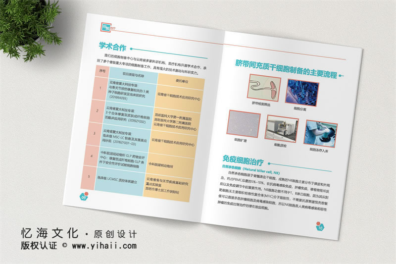 昆明憶海文化昆明企業(yè)宣傳畫冊(cè)制作-公司宣傳畫冊(cè)定制-生物科技公司畫冊(cè)設(shè)計(jì)