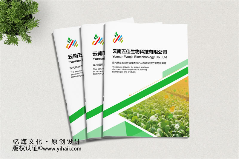 企業(yè)品牌宣傳畫冊定制設計：打造企業(yè)獨特的視覺形象