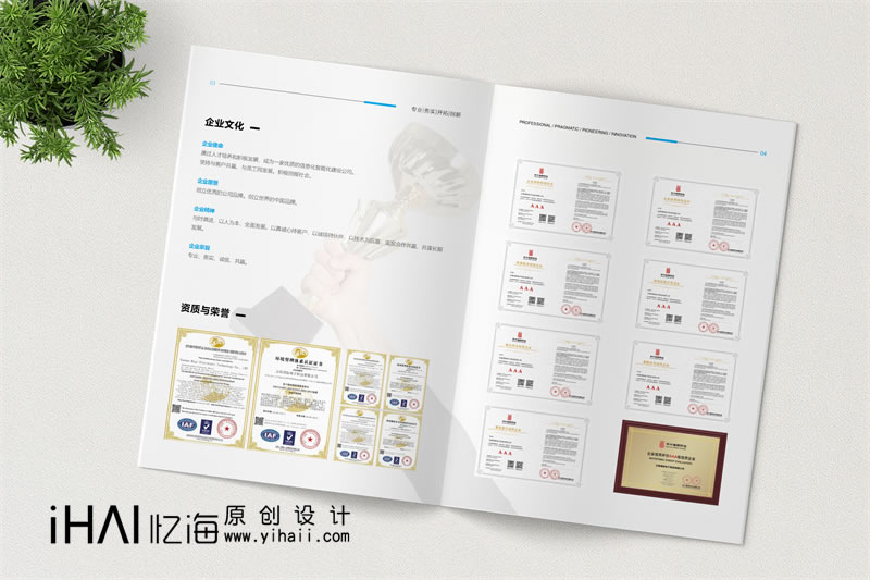 大氣的企業(yè)畫冊制作